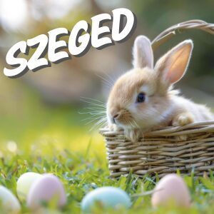 Metamorf Érintés Tanfolyam - SZEGED, 2026 04.03.